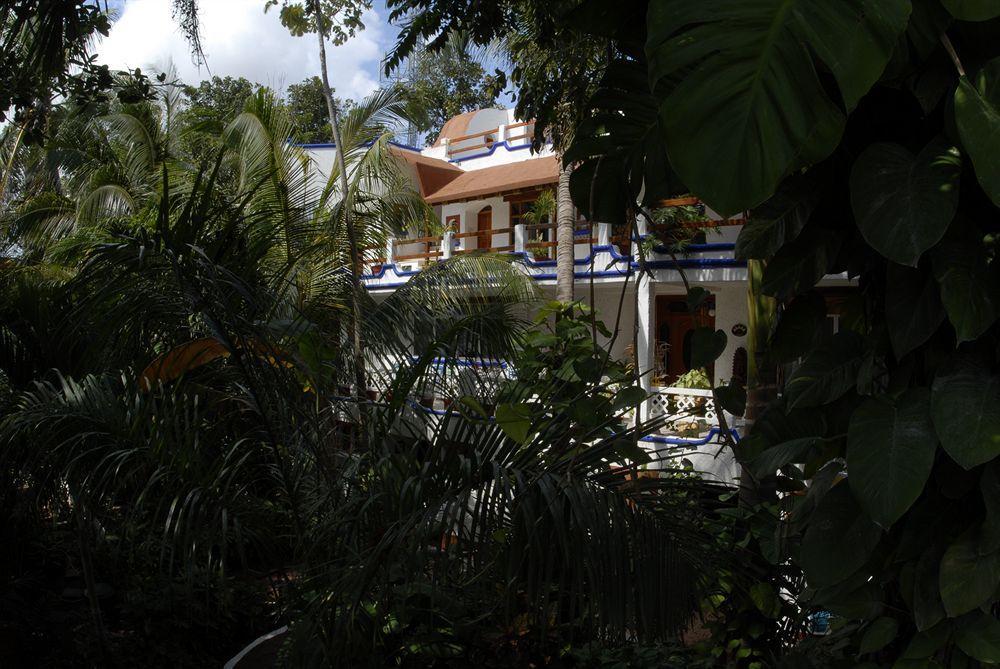 艾尔雷伊德尔加勒比经济型酒店 坎昆 外观 照片